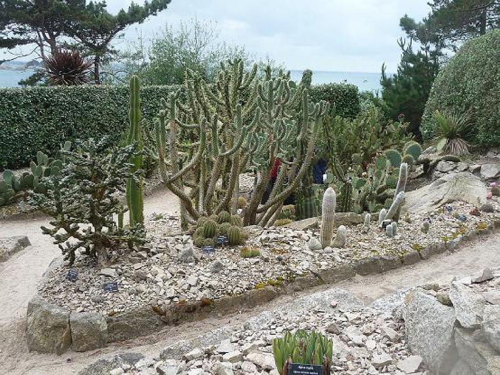 130 Ile de Batz Jardin Georges Delaselle_000013.jpg
